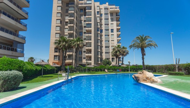 Apartamento - Venta - Guardamar del Segura - Puerto Deportivo