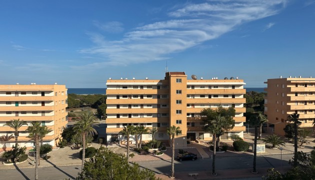 Apartamento - Venta - Guardamar - Pinomar