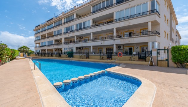 Apartamento - Venta - Playa Flamenca - Playa Flamenca