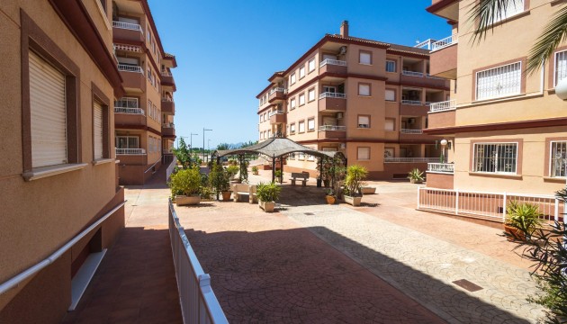 Apartment - Sale - Algorfa - Algorfa