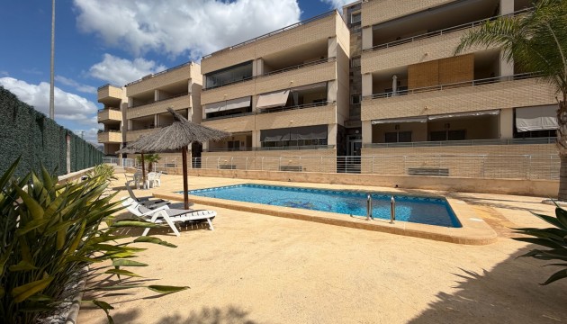 Apartment - Sale - Jacarilla - Jacarilla