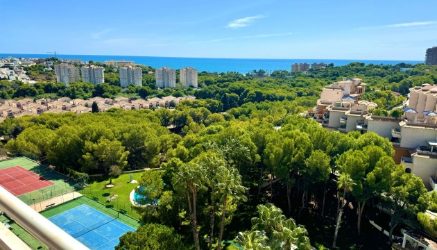 Apartment - Sale - Orihuela - Campoamor