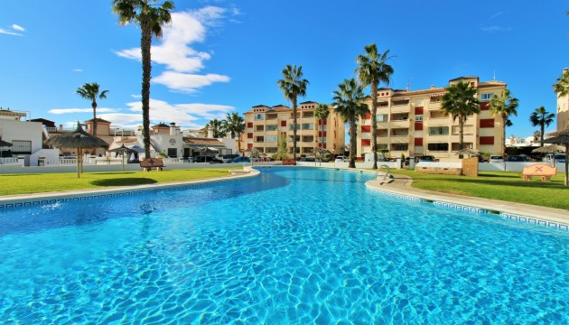 Apartment - Sale - Playa Flamenca - Playa Flamenca