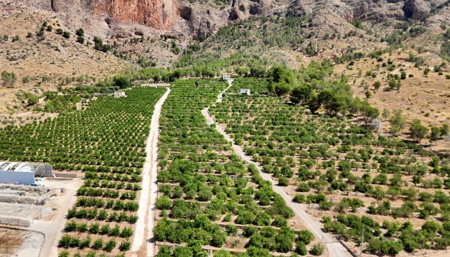 Finca Country Property - Sale - Orihuela - Orihuela