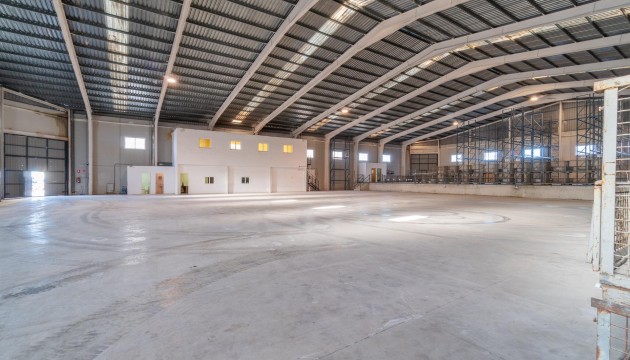  - Long time Rental - Pilar de la Horadada - Polígono industrial Cañada de Práez
