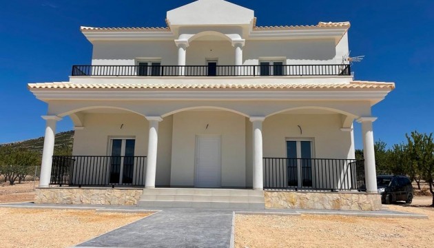 Villa's
 - Nouvelle construction - Pinoso - Camino Del Prado
