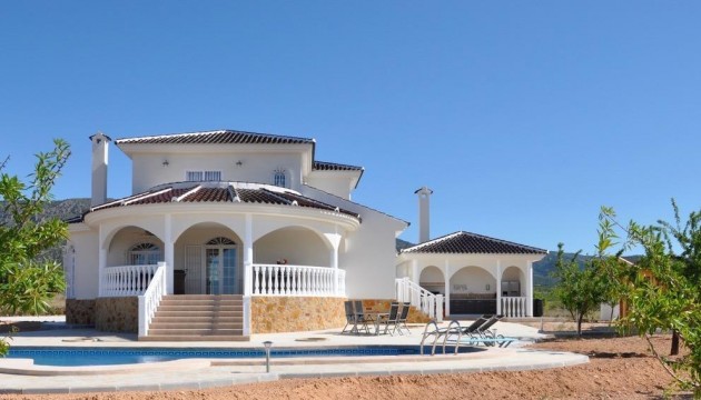 Villa's
 - Nouvelle construction - Pinoso - Campo