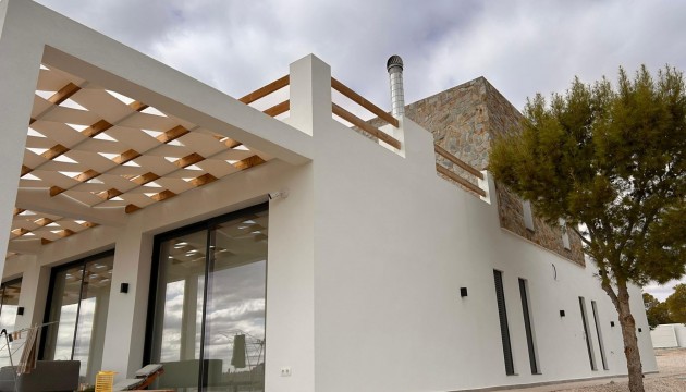 Villas - New Build - Pinoso - Casas Pastor