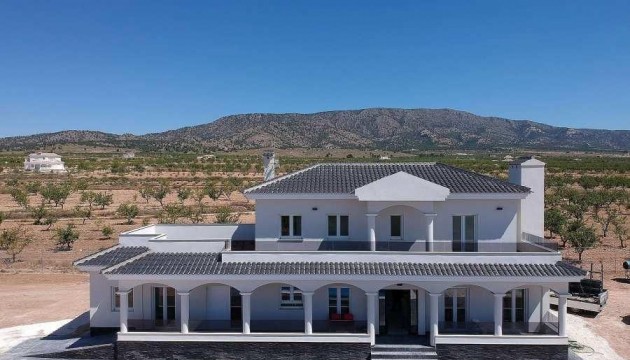 Villas
 - Nouvelle construction - Pinoso - Camino Del Prado
