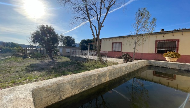 Villas
 - Revente - Aspe - Aspe