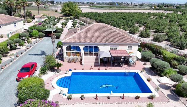 Villas - Sale - Catral - Catral