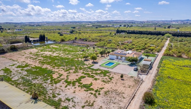 Villas - Sale - Los Montesinos - Los Montesinos