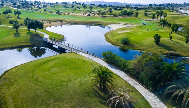 New Build - New build Villa - Vistabella Golf