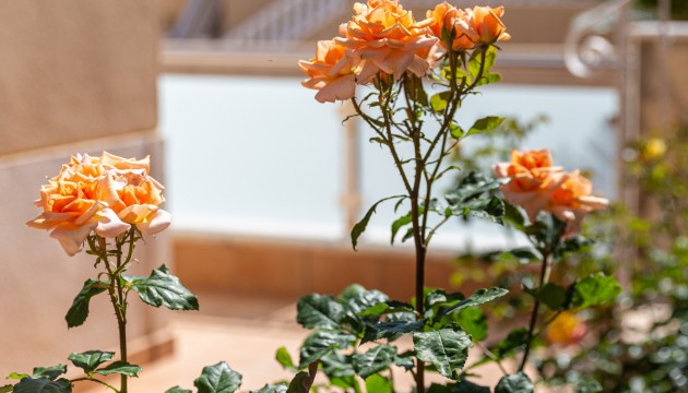 Resale - Villen
 - San Miguel de Salinas