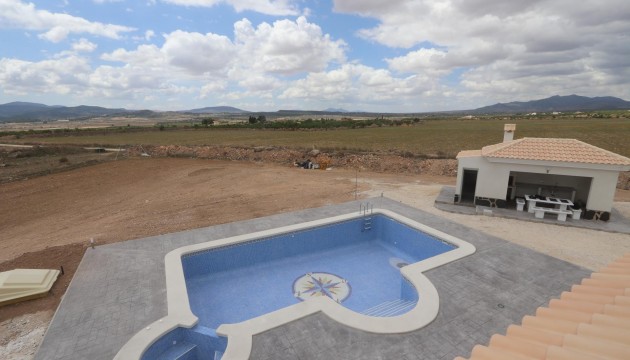 New Build - Villen
 - Pinoso - Camino Del Prado