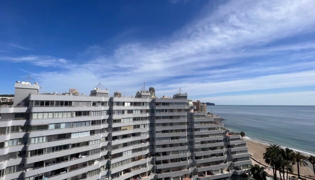 New Build - Wohnung - Calpe - Playa De La Fossa