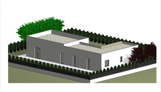 Nouvelle construction - Villa's
 - Pinoso - Lel