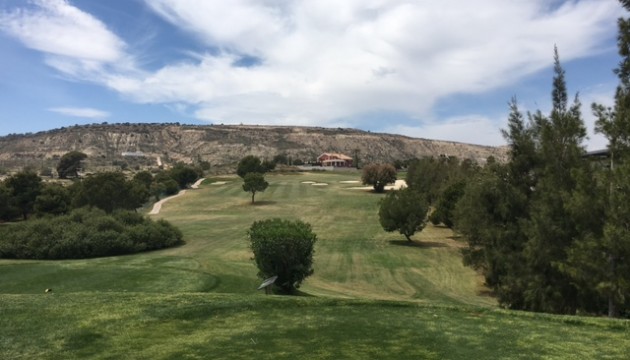 New Build - Villen
 - Algorfa