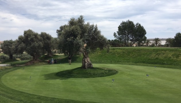 New Build - Villen
 - Algorfa