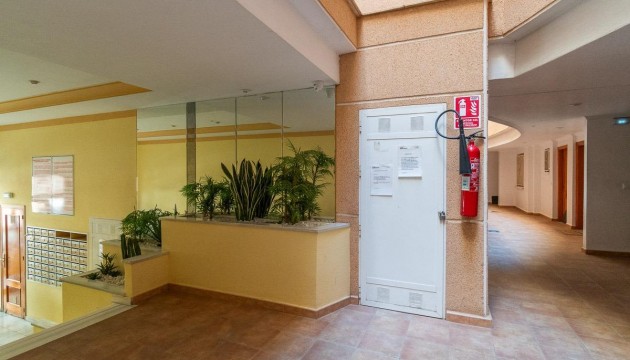 Sale - Apartment - Torrevieja - Estacion de autobuses