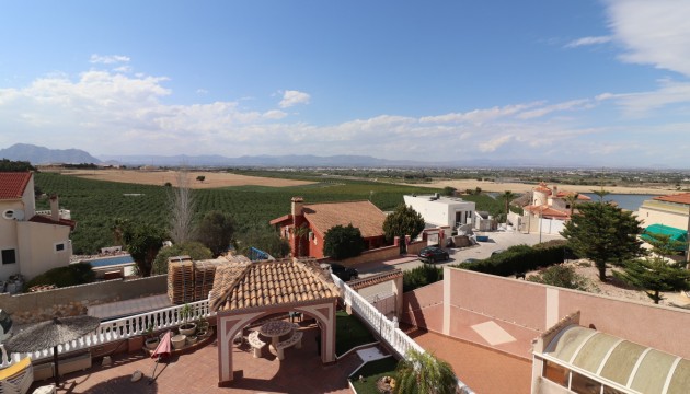 Sale - Detached villa - Algorfa - Lomas de La Juliana