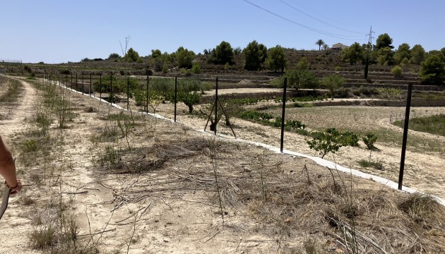 Venta - Plot - Benissa - Partida Berdica