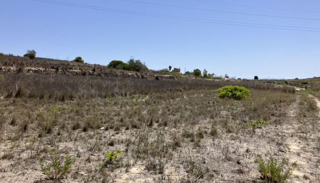 Revente - Plot - Benissa - Partida Berdica