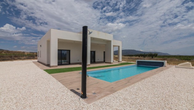 New Build - Villas - Pinoso - Campo