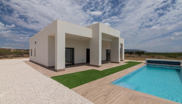 New Build - Villas - Pinoso - Campo