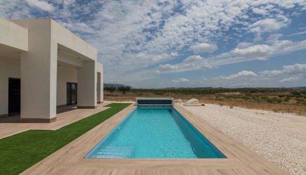 New Build - Villas - Pinoso - Campo