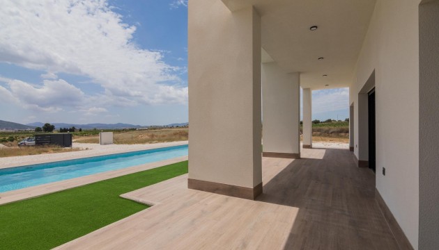 New Build - Villas - Pinoso - Campo