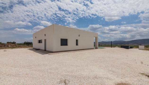 New Build - Villas - Pinoso - Campo