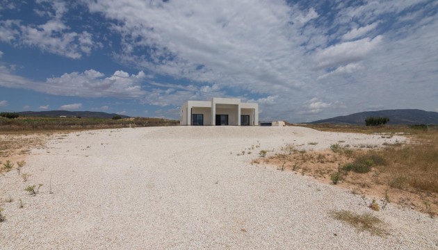 Nueva construcción  - Villas
 - Pinoso - Campo