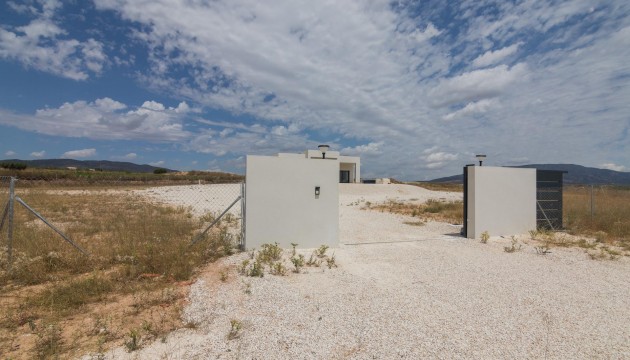 Nueva construcción  - Villas
 - Pinoso - Campo