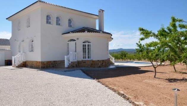 New Build - Villas - Pinoso - Campo