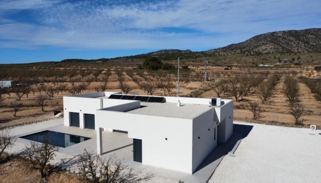 New Build - Villas - Pinoso - Campo