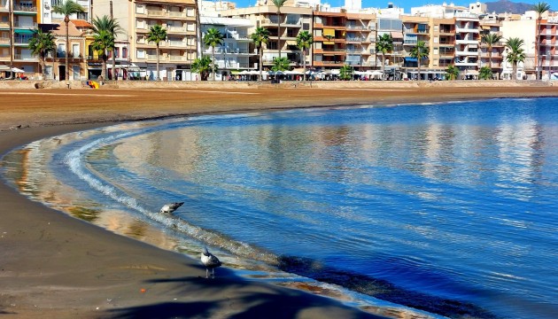 Nueva construcción  - Villas
 - Fuente Álamo - La Pinilla