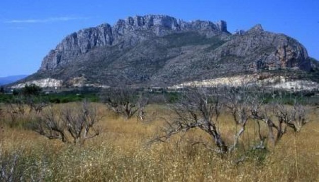 Nueva construcción  - Apartamento - El Verger - Zona De La Playa
