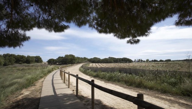 Nueva construcción  - Bungalow - Torrevieja - Torrejón