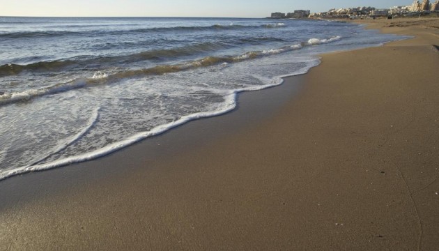 Nueva construcción  - Bungalow - Torrevieja - Aguas Nuevas