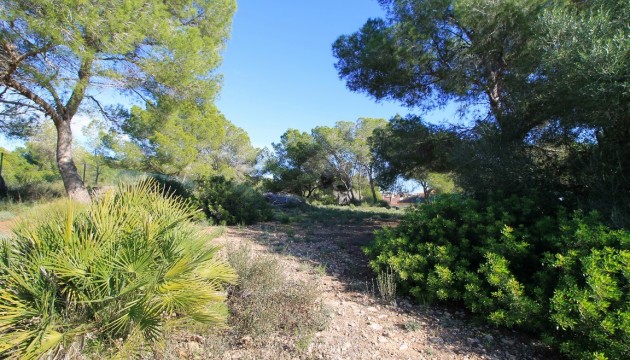 Sale - Detached villa - Mil Palmeras - Mil Palmeras - Town