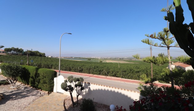 Sale - Detached villa - Algorfa - Lomas de La Juliana