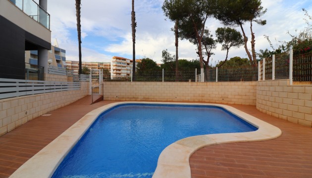 Sale - Apartment - La Mata - La Mata - Town