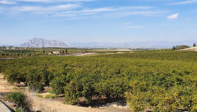 New Build - Wohnung - Algorfa - La Finca Golf