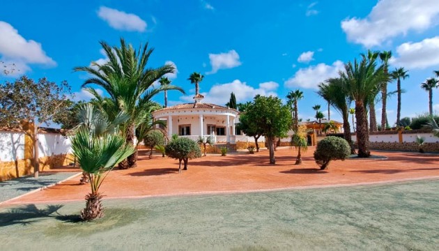 Resale -  - Catral - Catral - Country