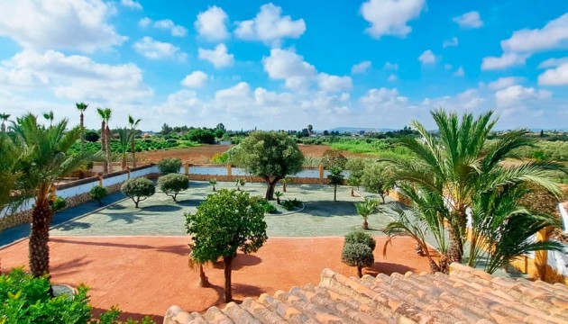 Resale -  - Catral - Catral - Country