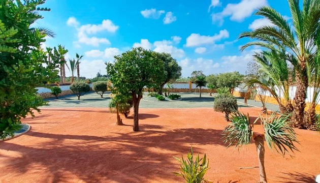 Resale -  - Catral - Catral - Country