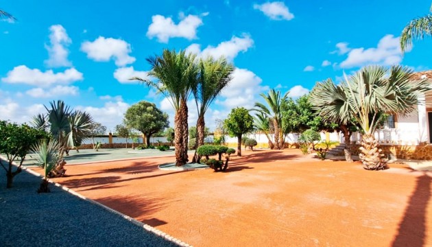 Resale -  - Catral - Catral - Country