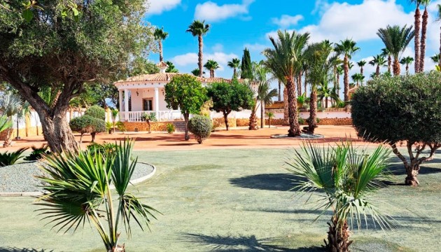 Resale -  - Catral - Catral - Country