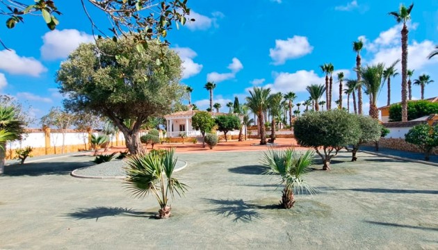 Resale -  - Catral - Catral - Country